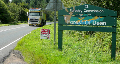 Animal rescuers banned from Forest of Dean