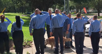 Firefighters pay tribute to last 9/11 search dog