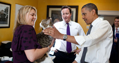 Chief mouser Larry to remain at No. 10