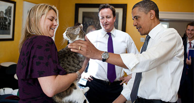 Chief Whip hints at fourth Westminster cat