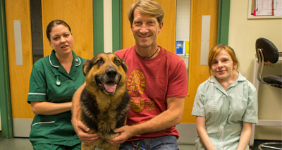 Police dog Nero recovering after neck fractures