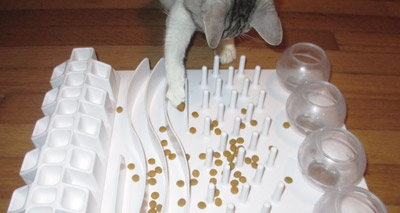 Feline wellbeing enhanced by food puzzles, study finds