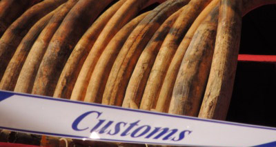 Votes to end future ivory trade