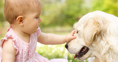 Parents 'underestimate risk' of family dog