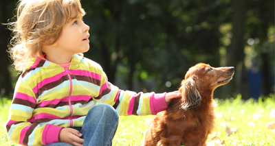 Educate children on animal welfare, petition urges