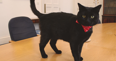 Treasury's chief mouser enlisted as a tour guide