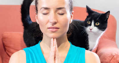 Cat meditation video 'the ultimate stress buster'