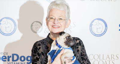 Heroic rescue dogs in the spotlight at gala