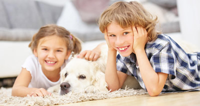 Children value pets more than siblings, study finds