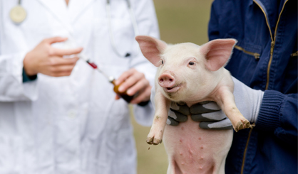 Antimicrobials in animals ‘should be reduced’