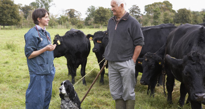 Scottish dairy farms fall to record low level