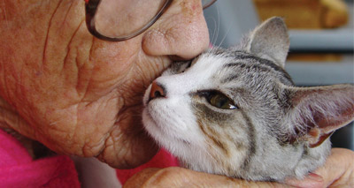 Purr therapy