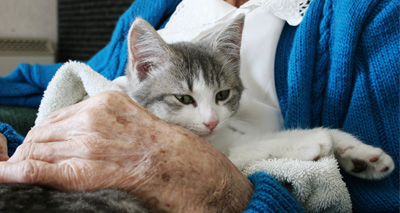 Fresh calls to allow pets in care homes