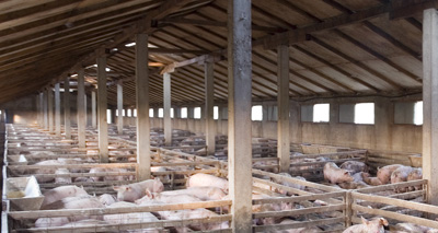 EU Committee reaches final decision on zinc oxide