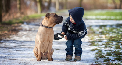 Dogs and toddlers show similarities in social intelligence