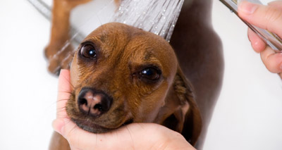 “Topical treatment can be effective”