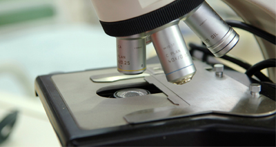 Study reveals how certain cancer cells resist chemotherapy