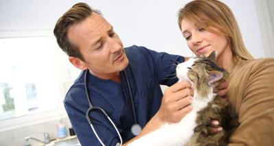 Survey reveals top things vets wished all pet owners knew