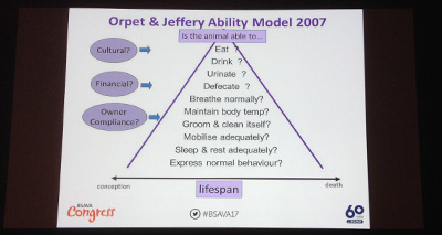 Holistic approach to care plans is essential