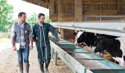 Reducing antibiotics in animals ‘has little impact on humans’
