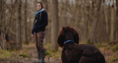 US map shows at-risk areas for Lyme disease