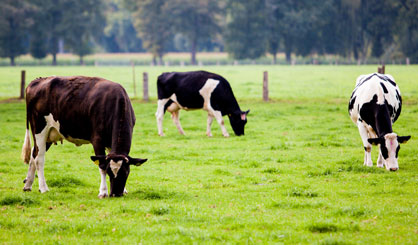 Quarantine units to come into force in Wales