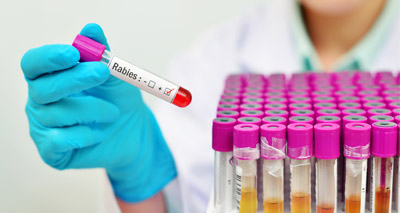 Colorado dogs test positive for rabies