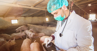 NPA responds to reports over hepatitis E