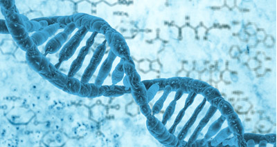 Genome project reaches major milestone