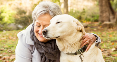 Dogs ‘may help older adults stay active’
