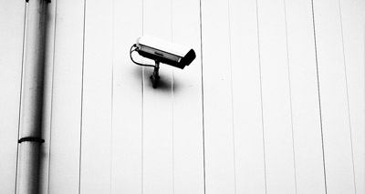 BVA calls for CCTV in Welsh slaughterhouses