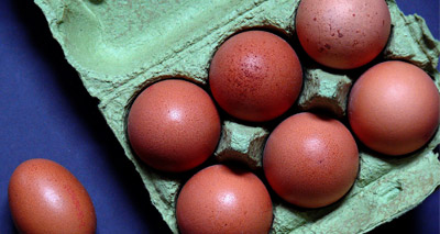 700,000 contaminated eggs distributed to Britain