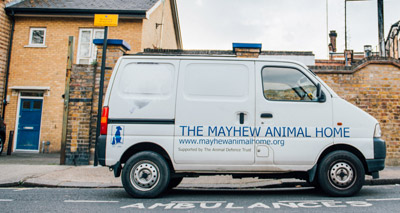 Appeal launched to replace stolen animal ambulance