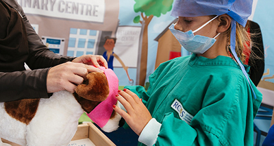 Raising awareness of veterinary careers 