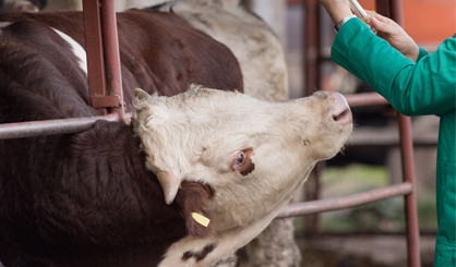 New targets set for farm antibiotic use