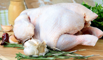 Food group suspends operations