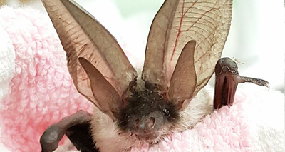 Charity shares tales of its spooky call-outs