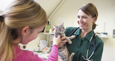 Pet behaviour: what is the RVN's role?