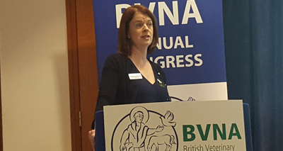 BVNA updates members on governance review