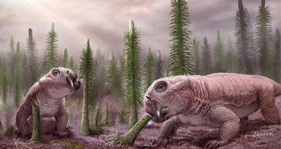 Mass extinctions ‘lead to disaster faunas’