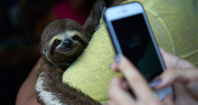 Concern over dramatic rise in ‘wildlife selfies’