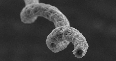Scientists develop cancer-fighting robots