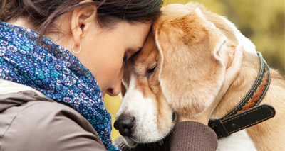 Oxytocin key to human-canine interaction, study suggests