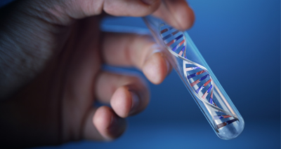 Researchers create pigs resistant to PRRS during reproduction