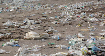 Countries commit to ocean pollution campaign