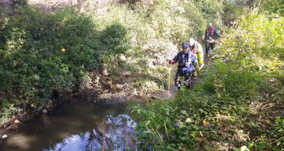 Poor water quality restricts Thames wildlife - ZSL