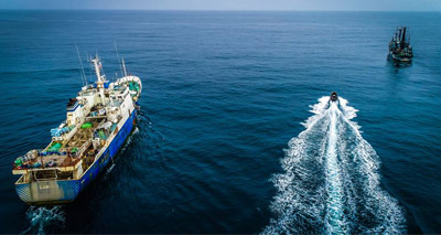 Blacklisted shark fishing vessel arrested in Liberia