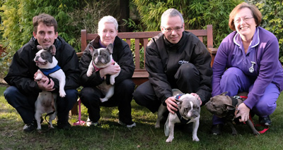 Charity rescues seven French bulldogs in a month