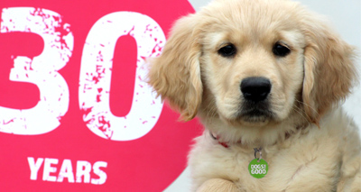 Dogs for Good celebrates 30th birthday
