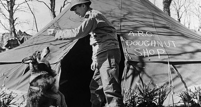 War hero dog gets animal’s Victoria Cross